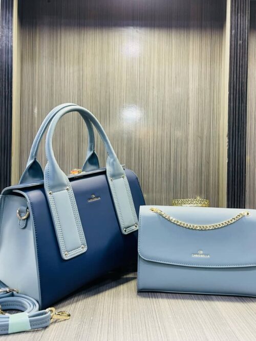beautiful bag Elegant design
