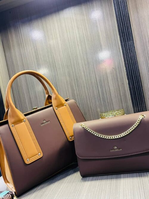 beautiful bag Elegant design